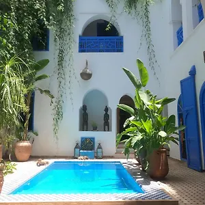  Riad Riad Chameleon