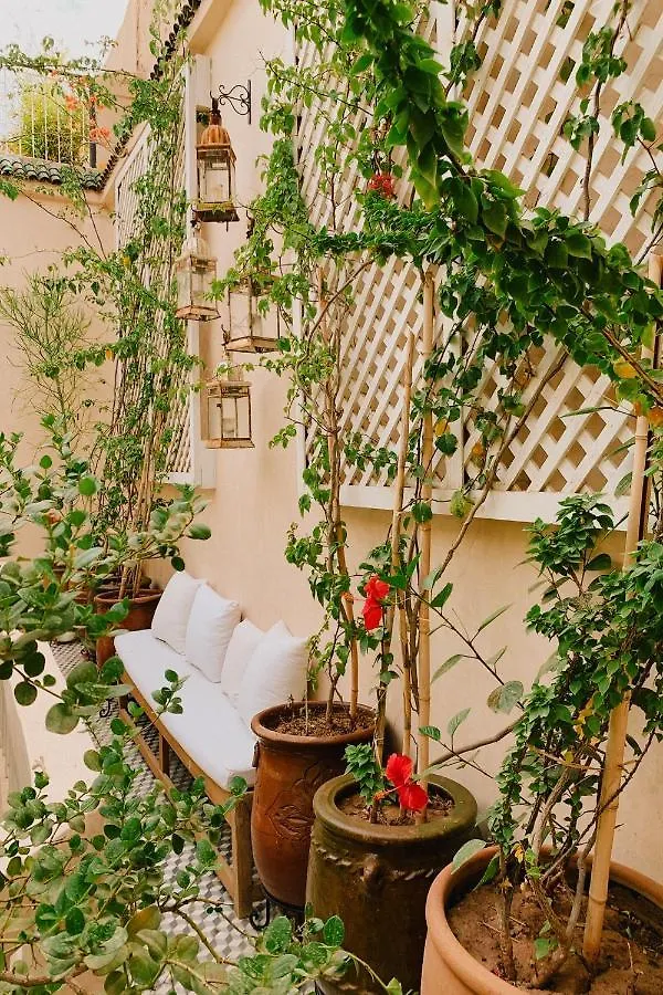 Riad Maison 24 Marrakesh Morocco