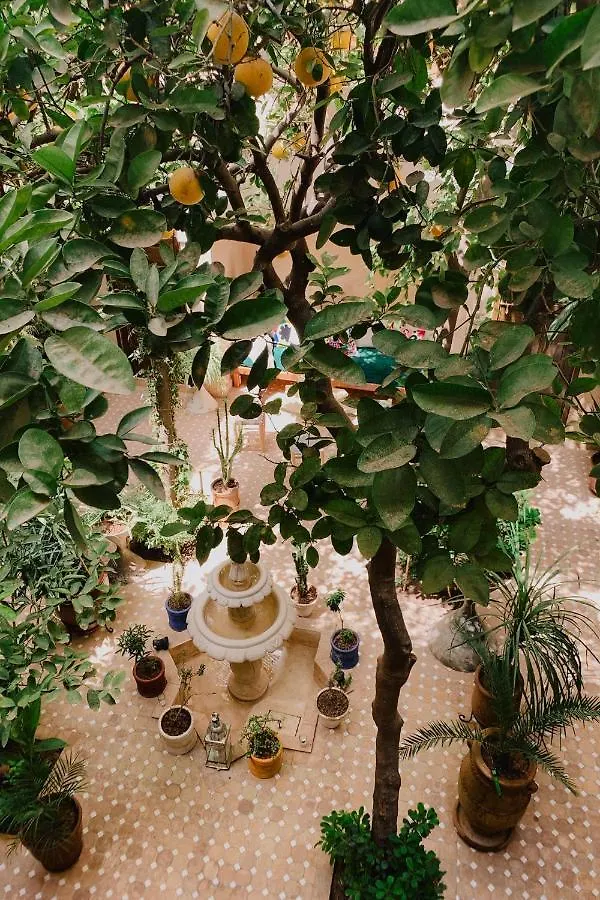 Riad Maison 24 Marrakesh